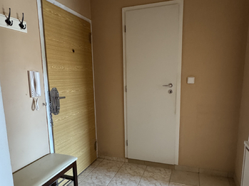 Prodej bytu 2+kk v družstevním vlastnictví 46 m², Osek