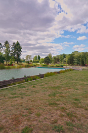 Prodej domu 264 m², Kosmonosy