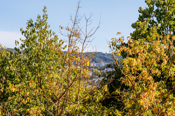 Prodej bytu 3+1 v osobním vlastnictví 60 m², Karlovy Vary