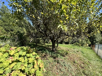 Prodej chaty / chalupy 30 m², Šternberk