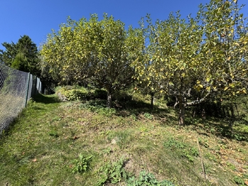 Prodej chaty / chalupy 30 m², Šternberk