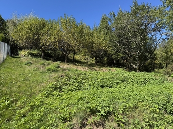 Prodej chaty / chalupy 30 m², Šternberk