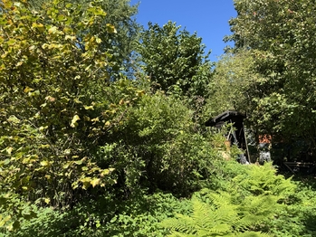 Prodej chaty / chalupy 30 m², Šternberk
