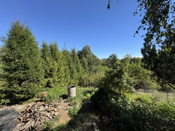 Prodej chaty / chalupy 30 m², Šternberk