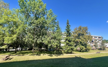 Prodej bytu 1+1 v osobním vlastnictví 36 m², Bílina