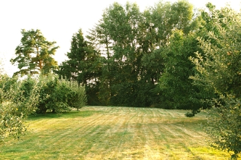 Prodej domu 102 m², Přeštice