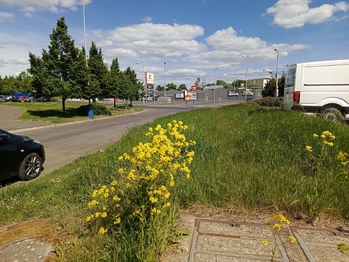 Prodej bytu 4+1 v družstevním vlastnictví 79 m², Teplice