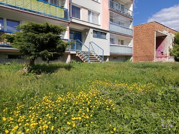 Prodej bytu 4+1 v družstevním vlastnictví 79 m², Teplice