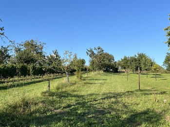 Prodej pozemku 1767 m², Svatobořice-Mistřín