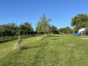 Prodej pozemku 1767 m², Svatobořice-Mistřín