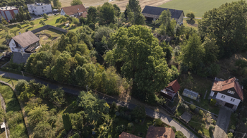 Prodej pozemku 5694 m², Vražné