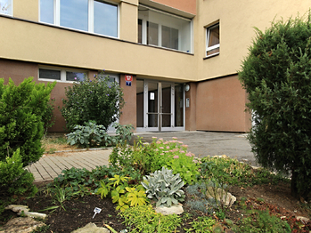 K Červenému vrchu - Prodej bytu 2+1 v osobním vlastnictví 45 m², Praha 6 - Vokovice 
