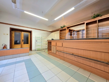 Prodej obchodních prostor 177 m², Žlutice