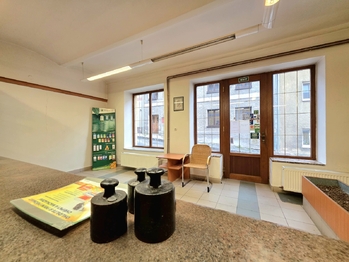 Prodej obchodních prostor 177 m², Žlutice