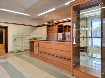 Prodej obchodních prostor 177 m², Žlutice