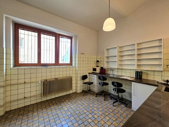 Prodej obchodních prostor 177 m², Žlutice