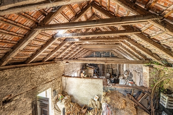 Prodej domu 250 m², Jeviněves