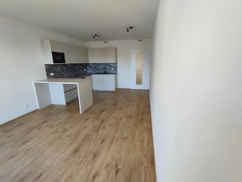 Pronájem bytu 2+kk v osobním vlastnictví 54 m², Praha 4 - Háje