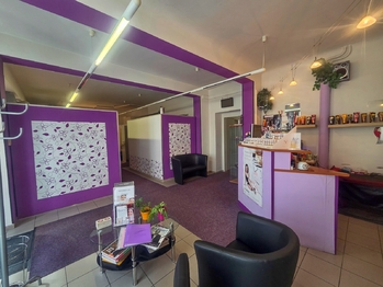 hlavní prostor - Pronájem obchodních prostor 126 m², České Budějovice