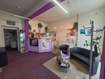 hlavní prostor - Pronájem obchodních prostor 126 m², České Budějovice