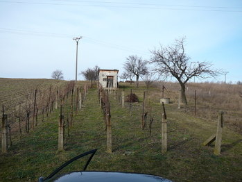 Prodej pozemku 2391 m², Měnín