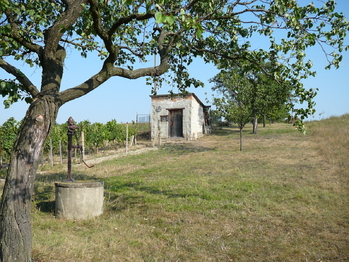 Prodej pozemku 2391 m², Měnín