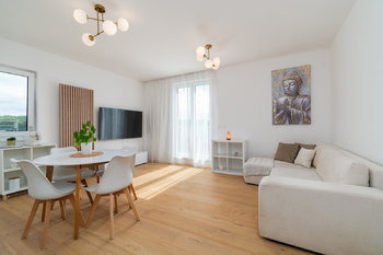 Pronájem luxusního bytu 3+kk, Zbůch - Plzeň - Pronájem bytu 3+kk v osobním vlastnictví 84 m², Zbůch 