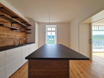 Pronájem bytu 6 a více v osobním vlastnictví 335 m², Praha 4 - Braník