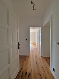 Pronájem bytu 6 a více v osobním vlastnictví 335 m², Praha 4 - Braník