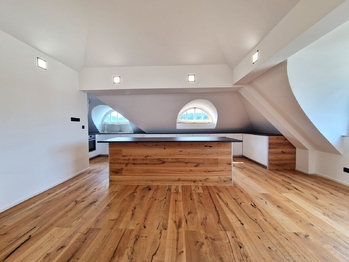 Pronájem bytu 6 a více v osobním vlastnictví 335 m², Praha 4 - Braník