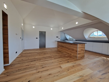 Pronájem bytu 6 a více v osobním vlastnictví 335 m², Praha 4 - Braník