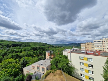 Pronájem bytu 6 a více v osobním vlastnictví 335 m², Praha 4 - Braník