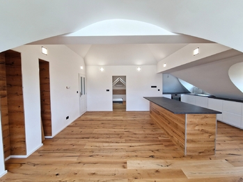 Pronájem bytu 6 a více v osobním vlastnictví 335 m², Praha 4 - Braník