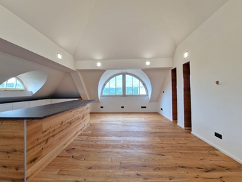 Pronájem bytu 6 a více v osobním vlastnictví 335 m², Praha 4 - Braník