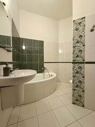 Prodej bytu 1+1 v osobním vlastnictví 47 m², Frýdek-Místek