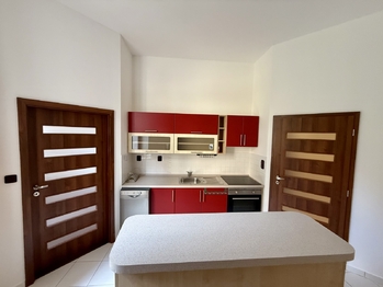Prodej bytu 1+1 v osobním vlastnictví 47 m², Frýdek-Místek
