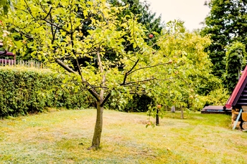 Prodej chaty / chalupy 61 m², Lipová