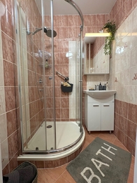 Koupelna - Pronájem bytu 3+1 v družstevním vlastnictví 61 m², Teplice