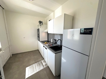 Pronájem bytu 3+1 v družstevním vlastnictví 61 m², Teplice
