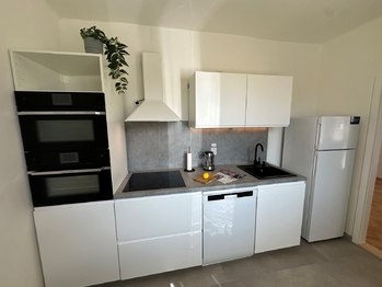 Pronájem bytu 3+1 v družstevním vlastnictví 61 m², Teplice
