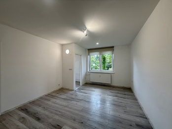 Pronájem bytu 1+1 v osobním vlastnictví 41 m², Frýdek-Místek