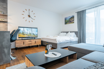 Pronájem bytu 1+kk v osobním vlastnictví 44 m², Vrchlabí