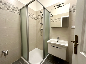 Pronájem bytu 1+kk v osobním vlastnictví 25 m², Praha 10 - Vinohrady