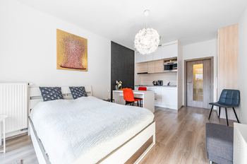 Hlavní místnost  - Pronájem bytu 1+kk v osobním vlastnictví 13147 m², Praha 10 - Vršovice
