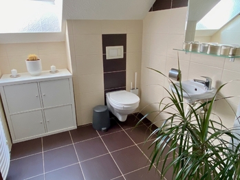 Samostatné WC - Prodej domu 166 m², Křenice