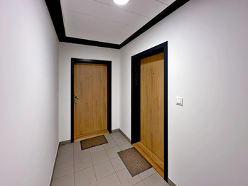 Prodej bytu 1+kk v osobním vlastnictví 56 m², České Budějovice