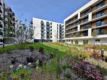 Prodej bytu 1+kk v osobním vlastnictví 56 m², České Budějovice