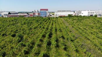 Prodej pozemku 2465 m², Brno