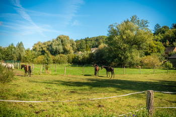 Prodej domu 70 m², Stochov