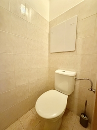 Pronájem bytu 3+kk v osobním vlastnictví 103 m², Plzeň